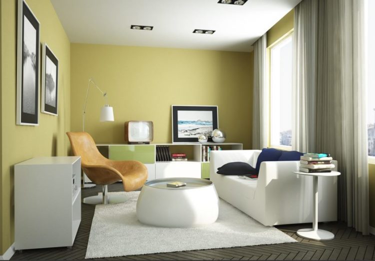 dizajn-gostinoj-41