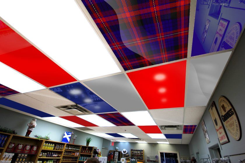scot_light-copy