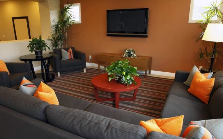 petit-salon-au-petit-salon-idées-design-sur-un-budget-1381-rénovation-maison