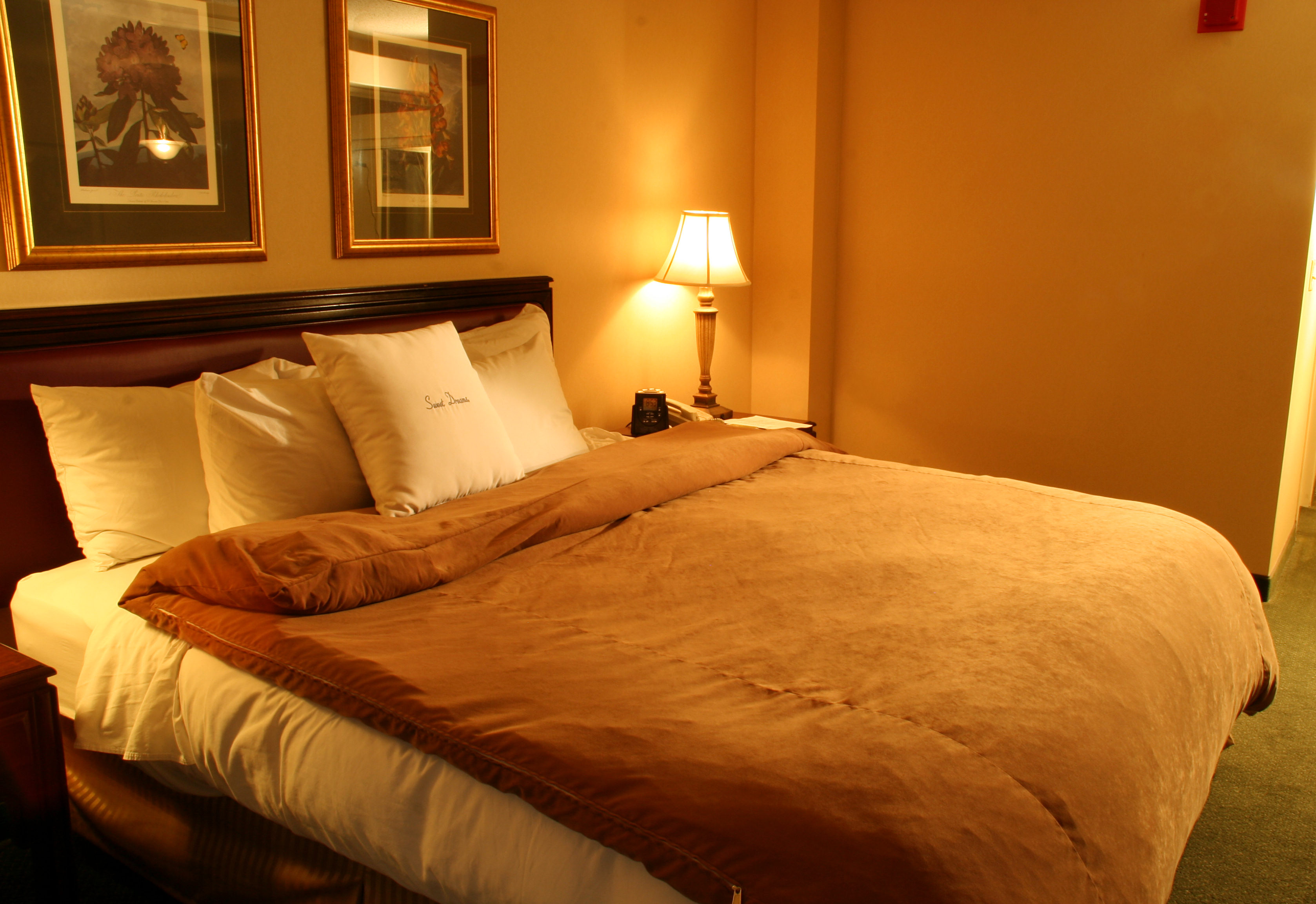 chambre d'hôtel
