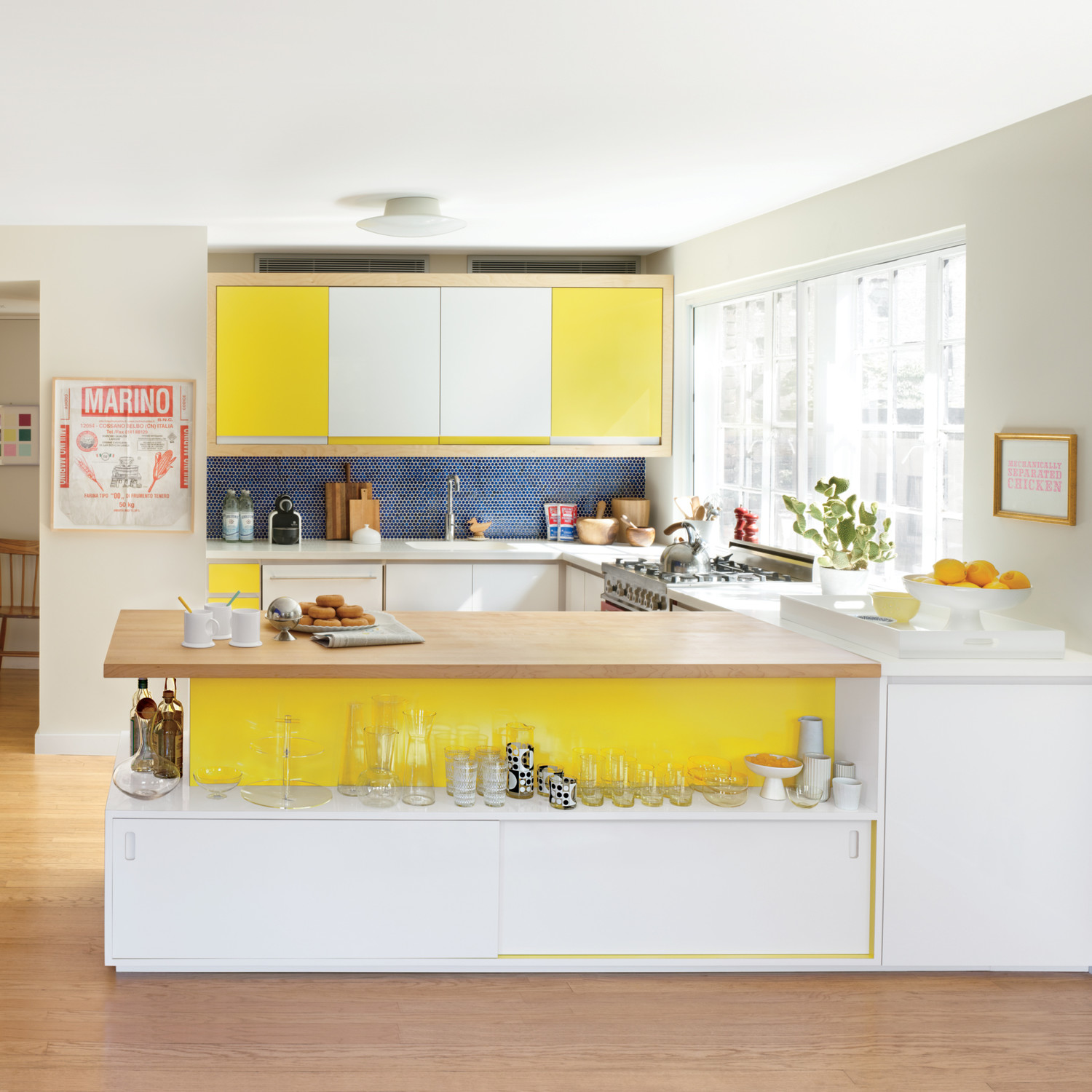 annie-schlechter-kitchen-bold-color-mld107949_sq