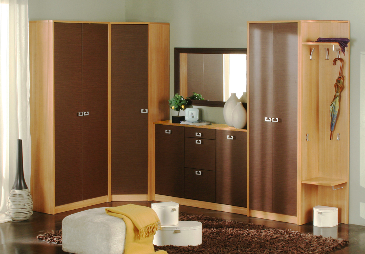 armoires-designs-pour-hall-5