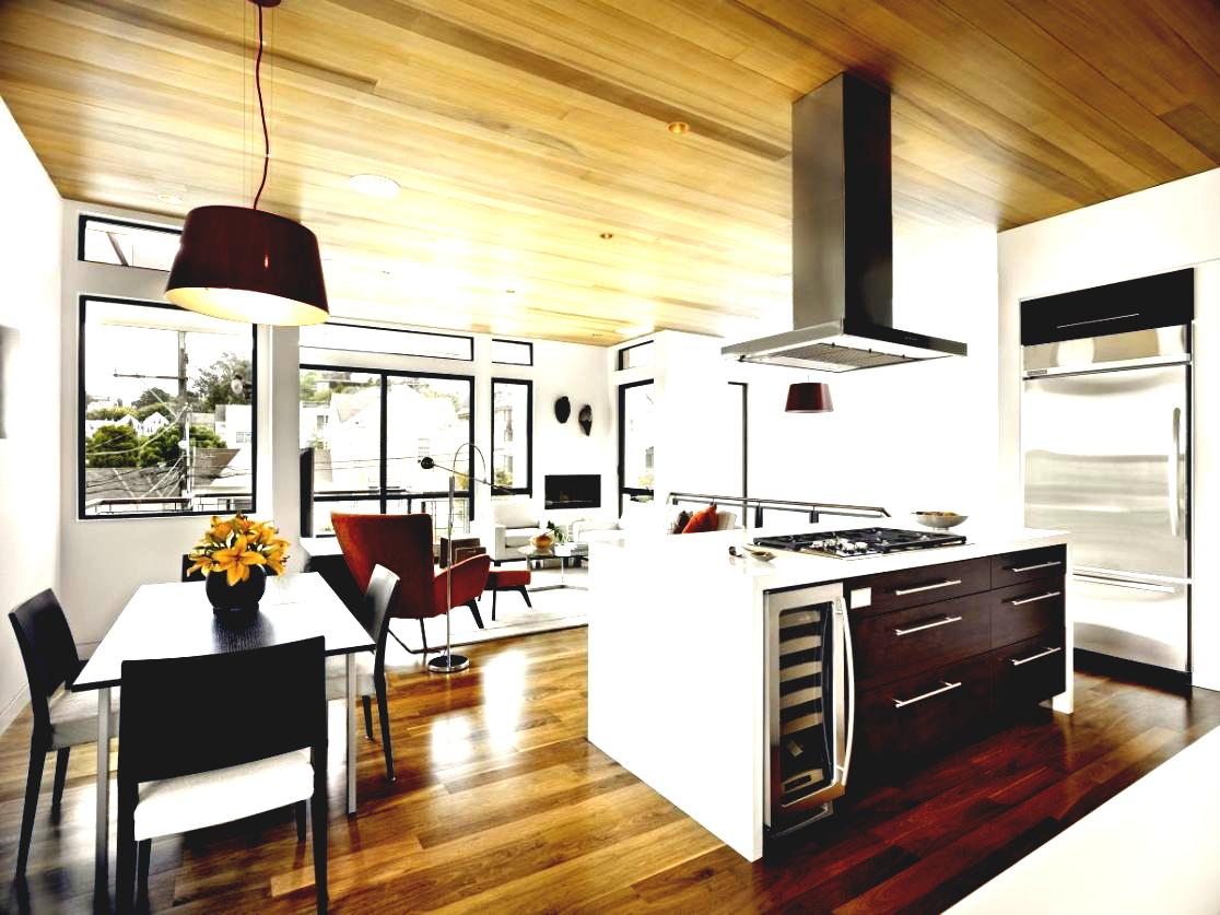 salon-salle à manger-combo-petite-et-cuisine-design-idées-hipo-campo-edgy-avec