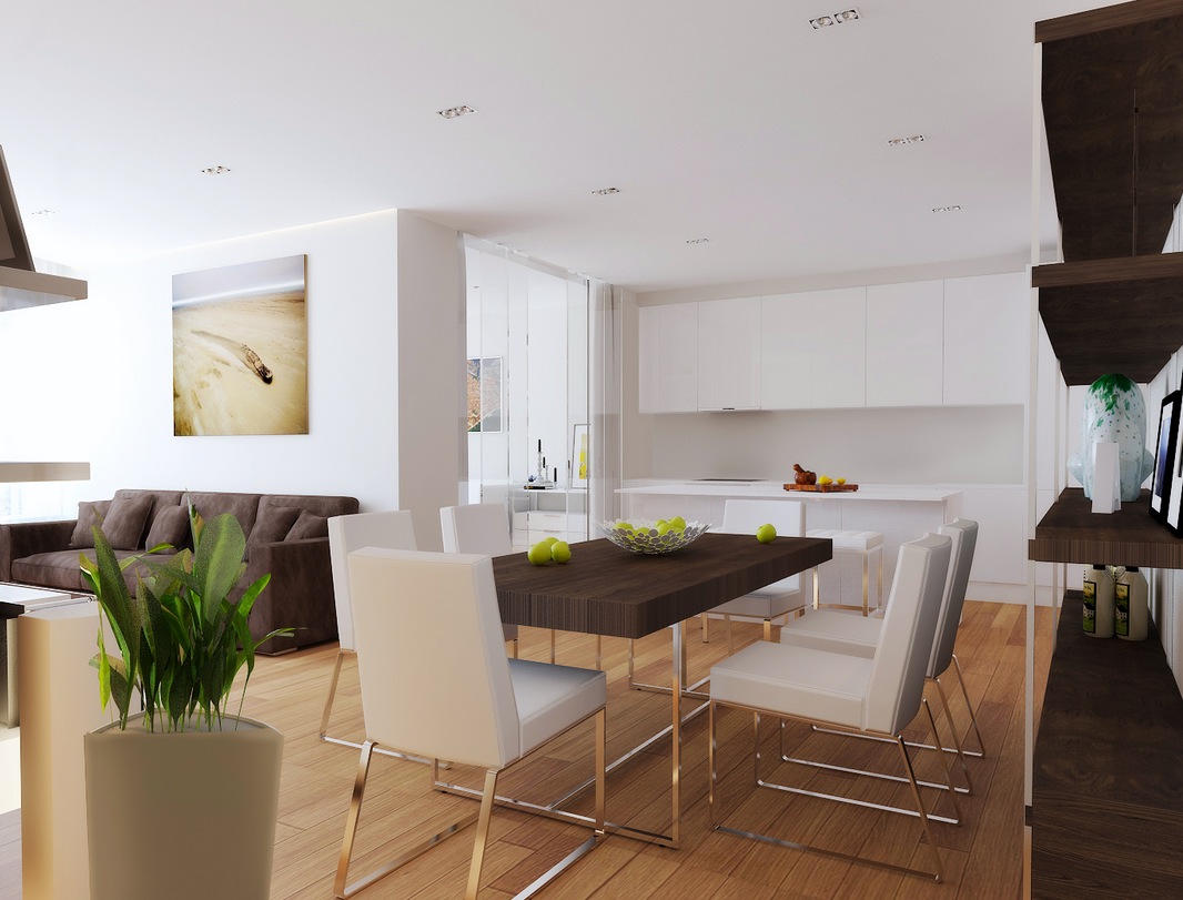 belle-cuisine-salle-a-manger-et-salon-design-petit-plan-ouvert-cuisine-salon