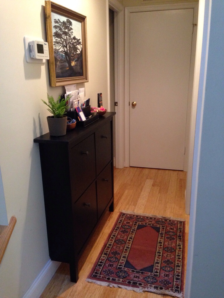 autre-armoire-incomparable-couloir-étroit-armoire-avec-noir-armoire-peinture-couleur-idées-aussi-petits-pots-jardinières