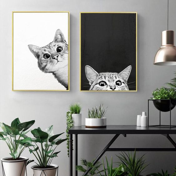 photographies en noir et blanc de chats